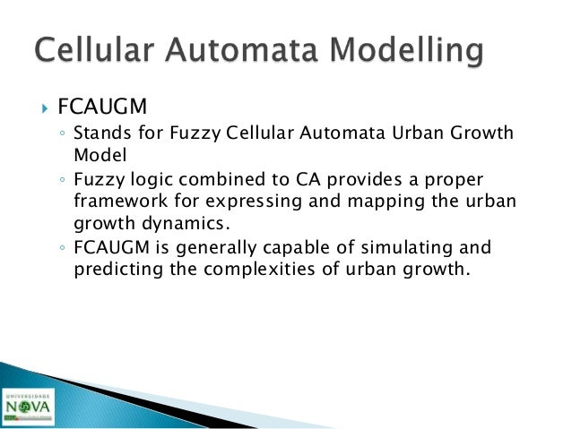 Modeling Urban Dynamics